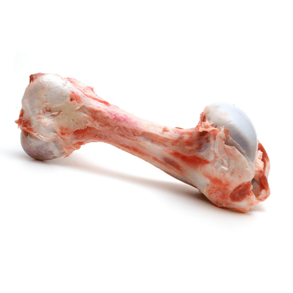 Beef Bone