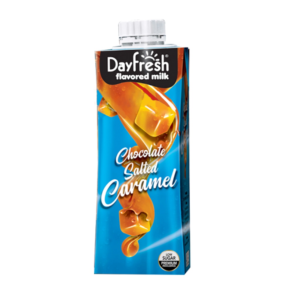 Day Fresh Flavored Milk Chocolate Salted Caramel