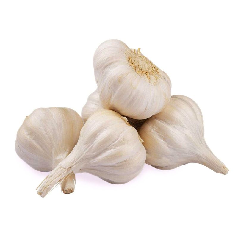 Garlic Desi 225