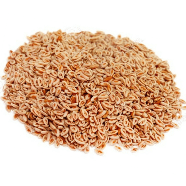 Iqra Foods Ispaghole Whole