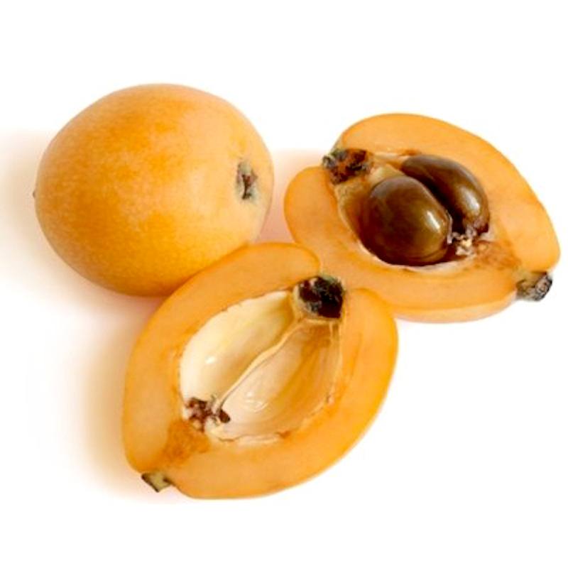 Loquat 450