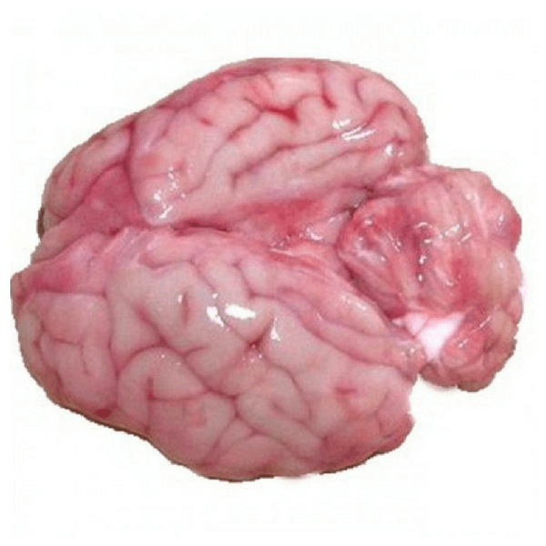 Meat N Meat Mutton Brain