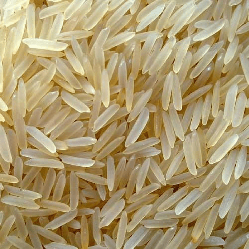 Rice Sella